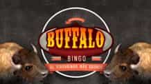 Portada de videobingo Buffalo Bingo de MGA para casinos online.