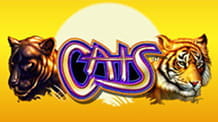 Portada de la tragaperras de IGT Cats.