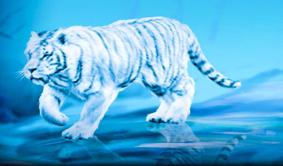 Portada de la slot Siberian Storm de IGT con un tigre blanco como protagonista.