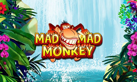 Mad Mad Monkey Online