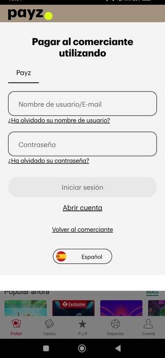 Pantalla de inicio de sesión en la cuenta Payz.