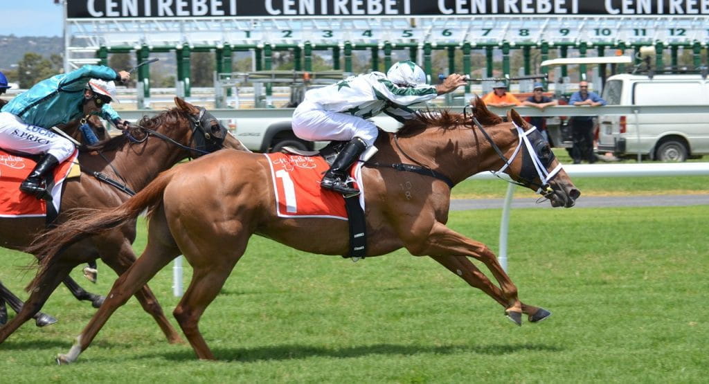 Caballos corren en la pista.