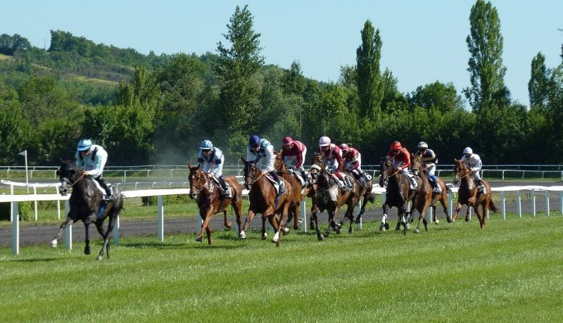 Carrera de caballos.