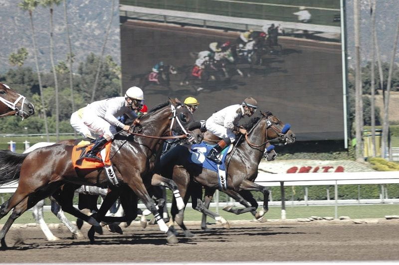 Carrera de caballos.