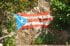 Bandera de Puerto Rico pintada sobre una roca.