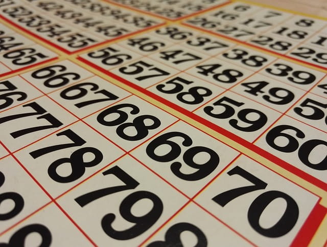 Cartones de bingo.