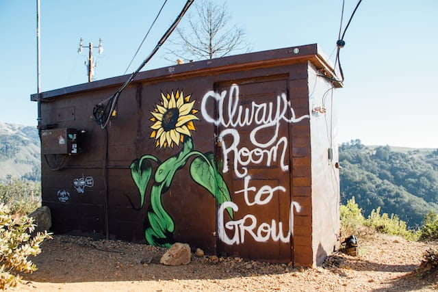 Caseta con un girasol dibujado y el eslogan: Always Room to Grow.