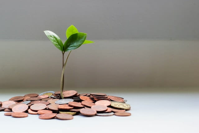 Monedas de las que crece una planta.