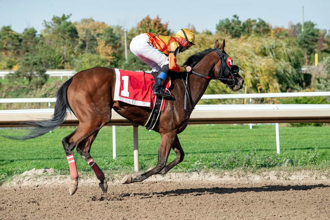 Caballo de carrera en plena competición guiado por su jinete.