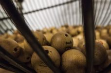 Bombo de la lotería con bolas en su interior.