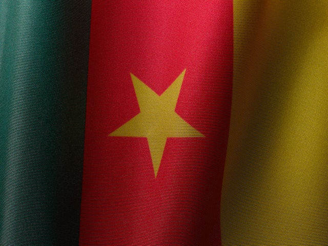 Bandera de Camerún.
