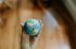 Mano sosteniendo un globo terráqueo en miniatura mostrando el continente americano.